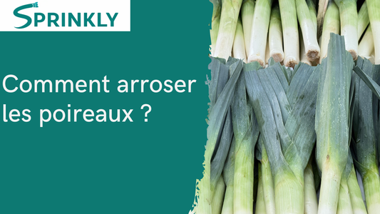 Comment arroser les poireaux blog