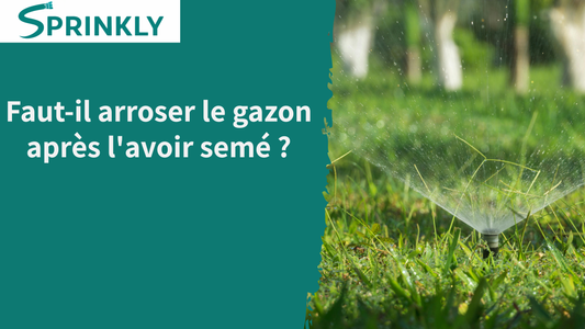 blog Faut-il arroser le gazon après l'avoir semé ?