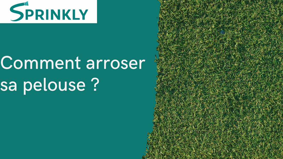 banniere blog Comment arroser sa pelouse 