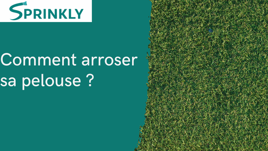 banniere blog Comment arroser sa pelouse 