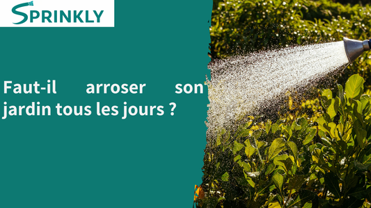 banniere blog Faut-il arroser son jardin tous les jours 